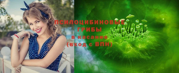 Альфа ПВП Алзамай