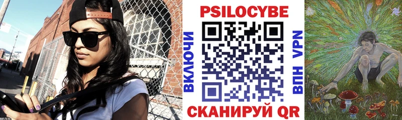 Псилоцибиновые грибы Psilocybe  Мураши 